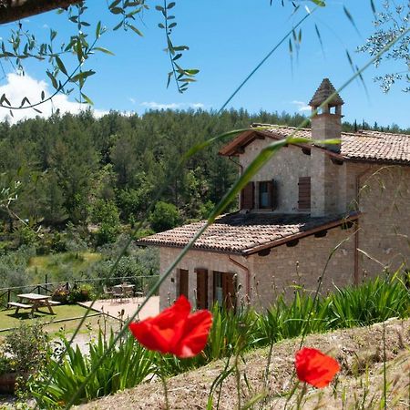 Agriturismo Molino Verde Montecchio  Exteriér fotografie