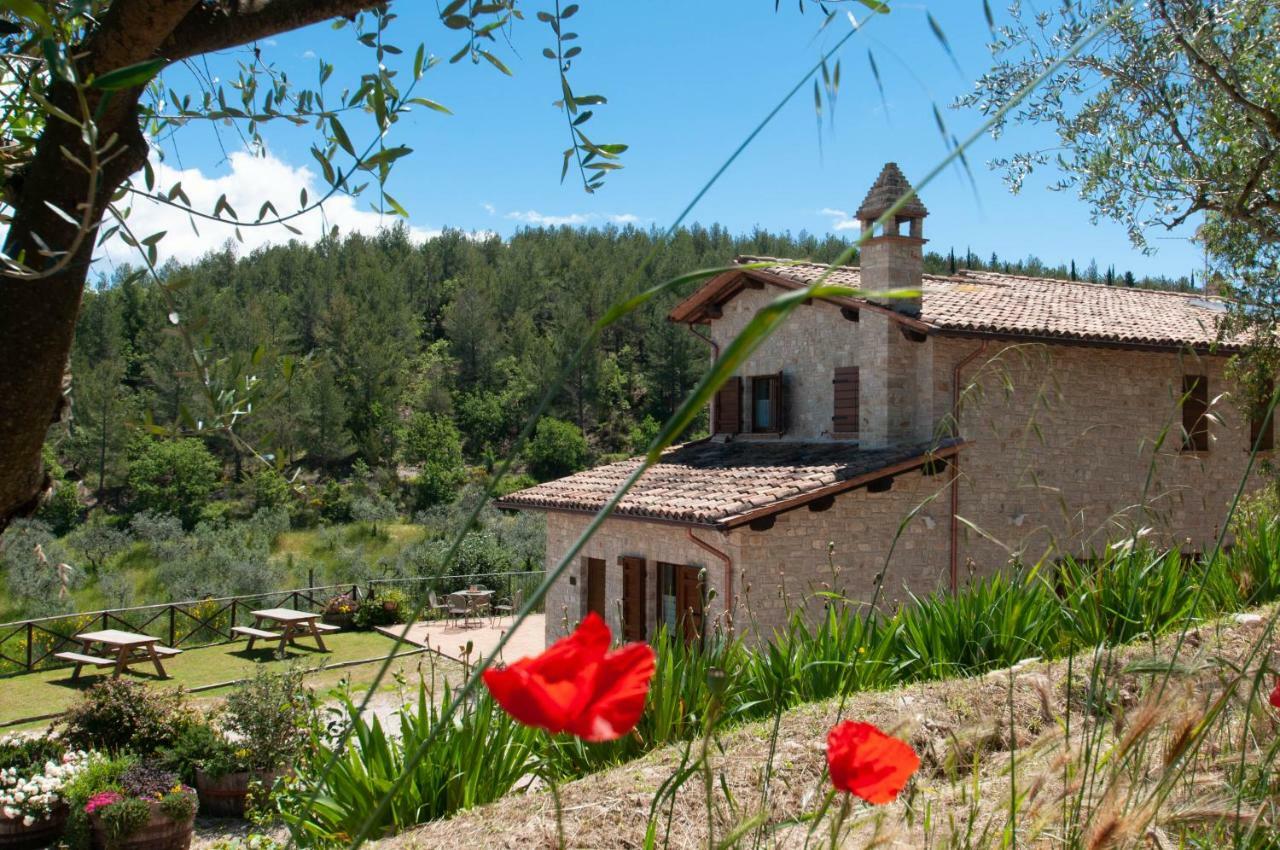 Agriturismo Molino Verde Montecchio  Exteriér fotografie