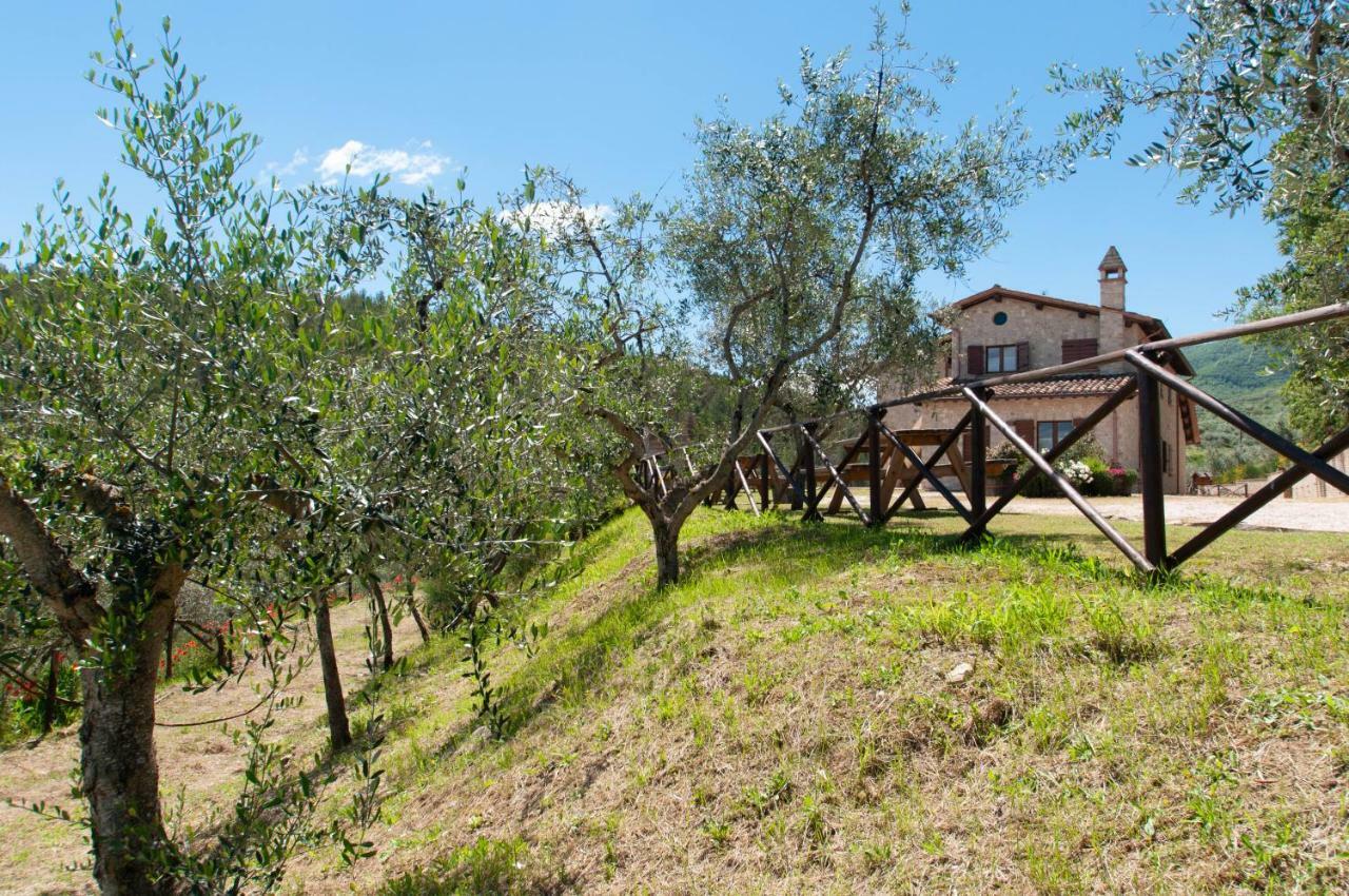 Agriturismo Molino Verde Montecchio  Exteriér fotografie