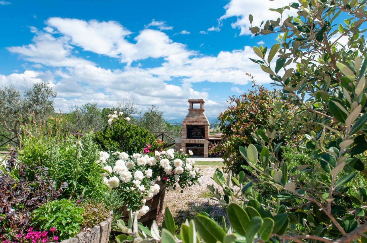 Agriturismo Molino Verde Montecchio  Exteriér fotografie