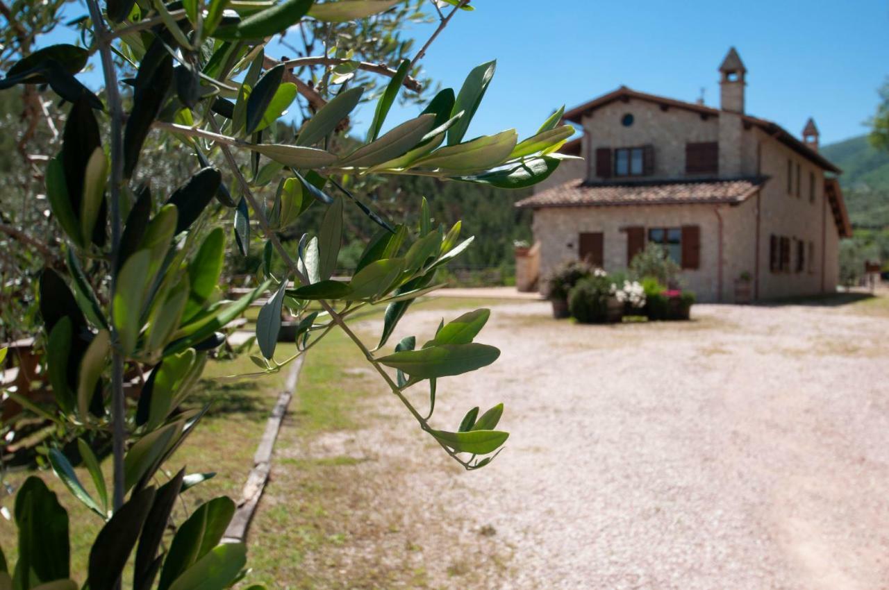 Agriturismo Molino Verde Montecchio  Exteriér fotografie