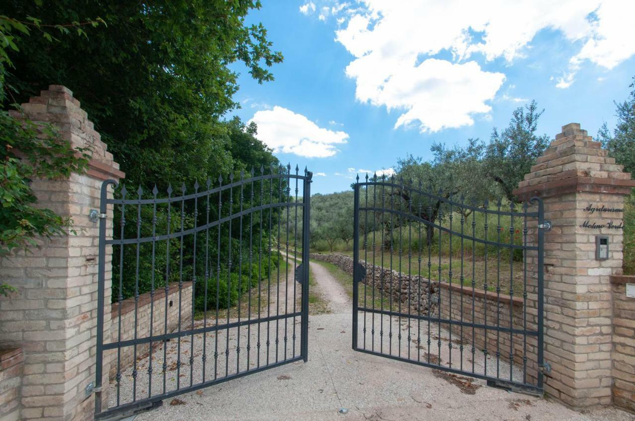Agriturismo Molino Verde Montecchio  Exteriér fotografie