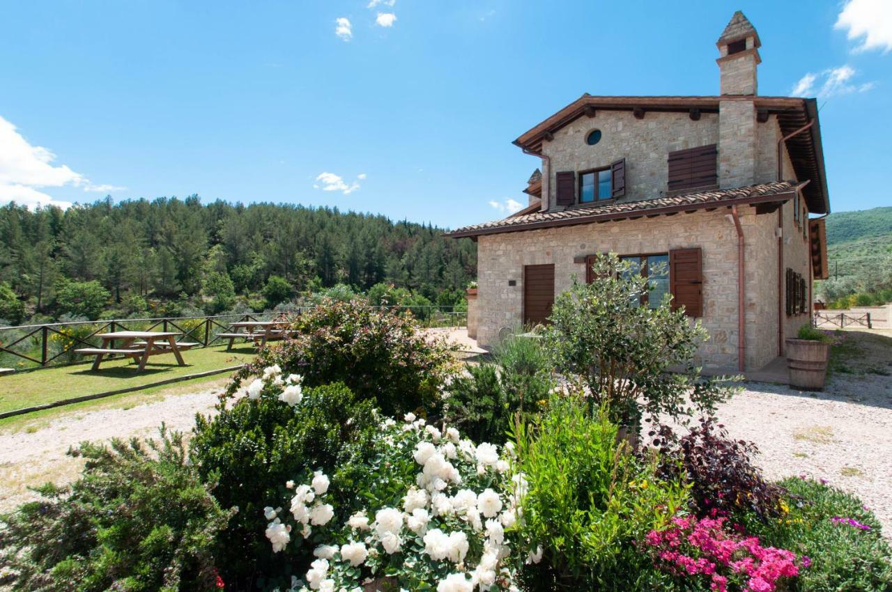Agriturismo Molino Verde Montecchio  Exteriér fotografie